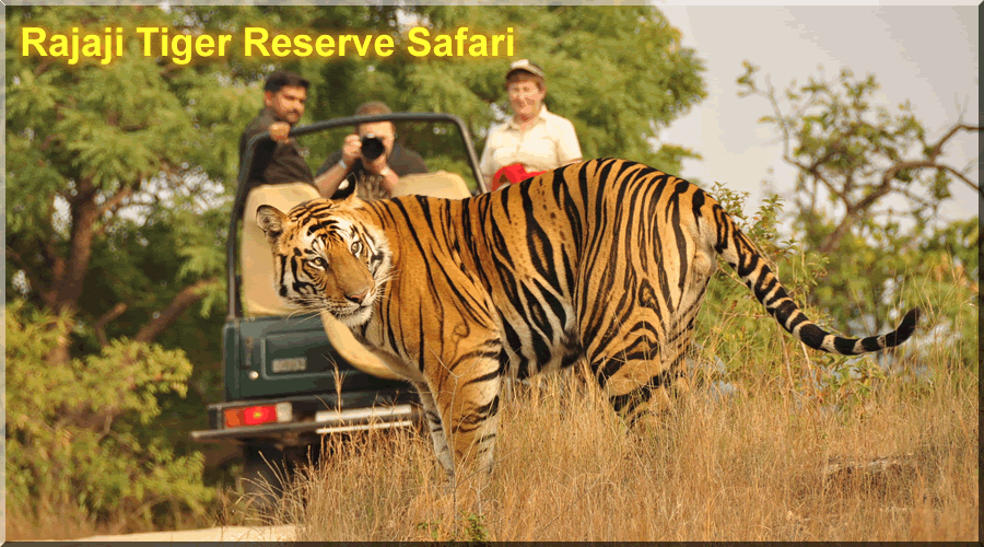 Rajaji Tiger Reserve