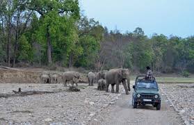 Haridwar Jungle safari tour package