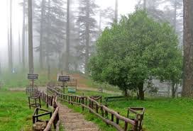Dhanaulti Mussoorie Tour Package