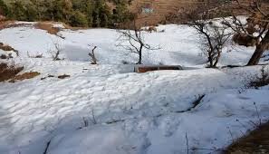 Dhanaulti Mussoorie Tour Package