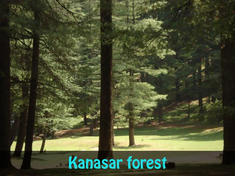 Chakrata tour itinerary