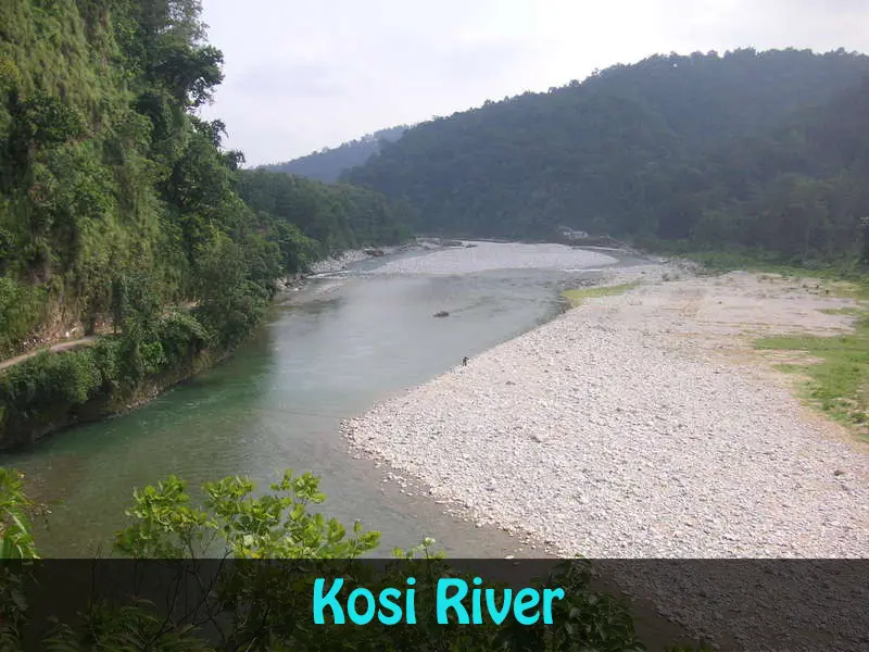 Wildlife tour package in Uttarakhand