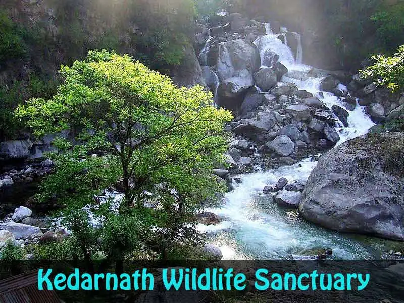 Wildlife tour package in Uttarakhand