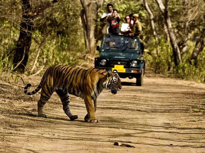 Delhi Nainital Kausani and Jim Corbett National Park tour package
