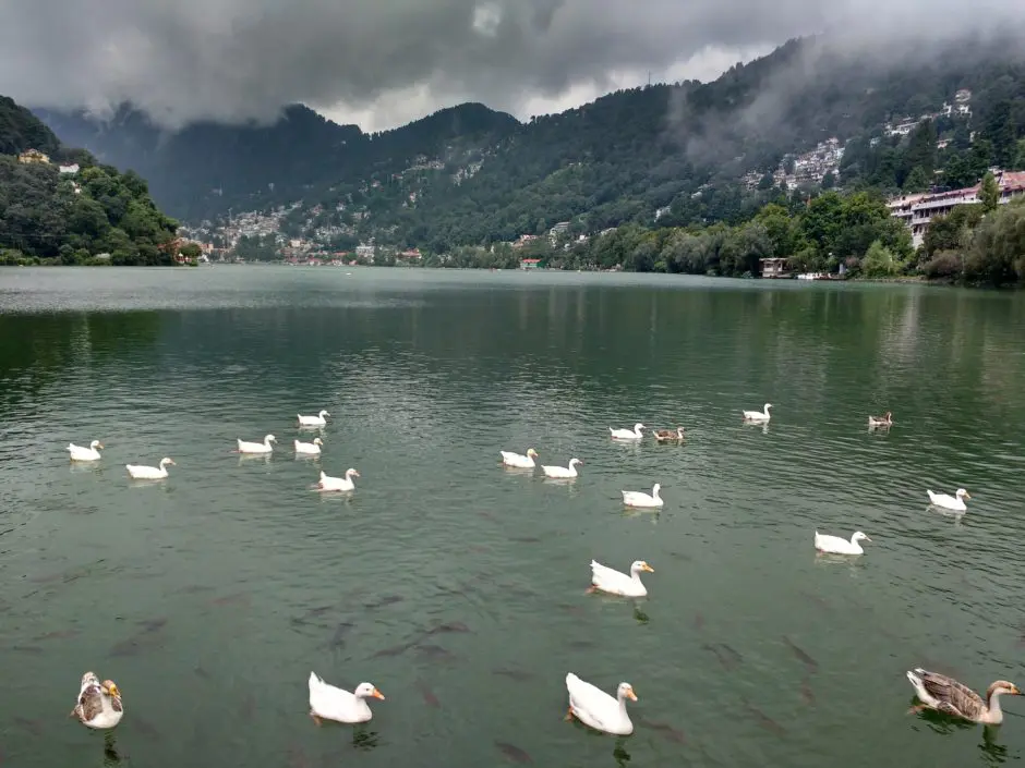 Honeymoon tour packages in Uttarakhand