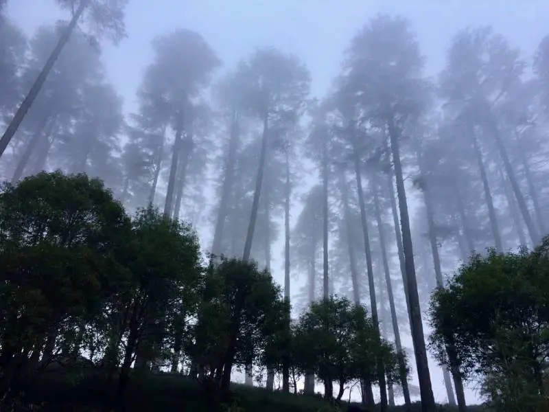 Nainital Haridwar Mussoorie tour package from Delhi