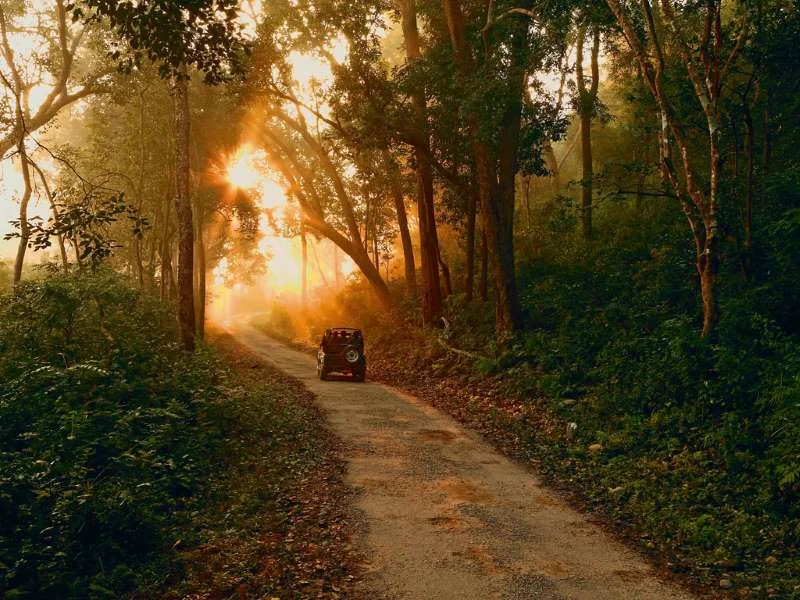 Corbett National Park tour package