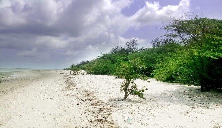 Bakkhali Henry Island Ganga Sagar on Road
