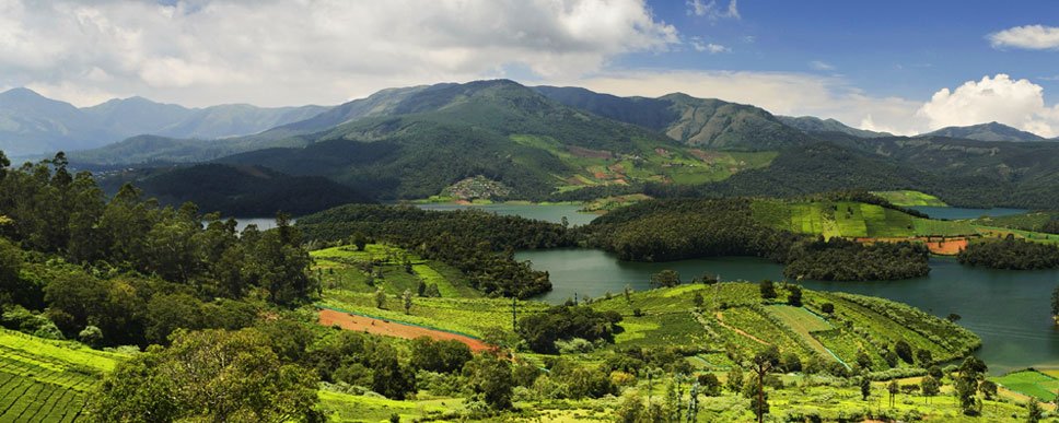 Balasore Chandipur Similipal Forest on Road