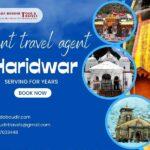 Efficient travel agent in Haridwar