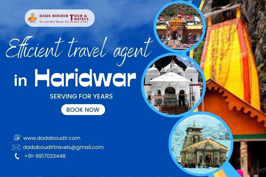 Efficient travel agent in Haridwar