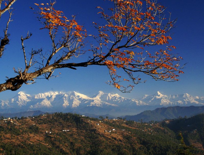 Honeymoon Tour Packages in Uttarakhand