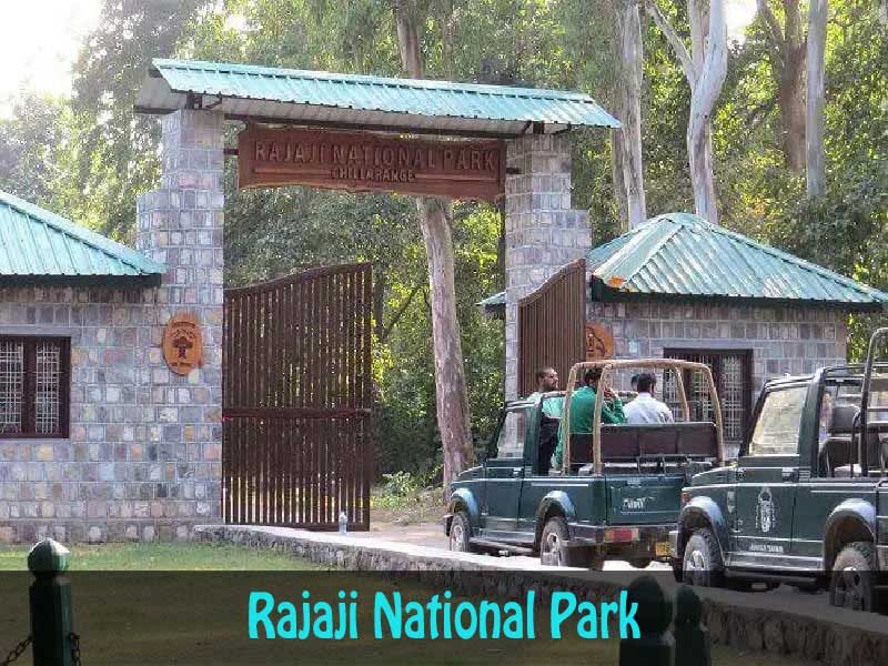 Rajaji-National-Park