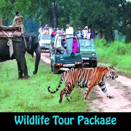 Wildlife Tour Package in Uttarakhand