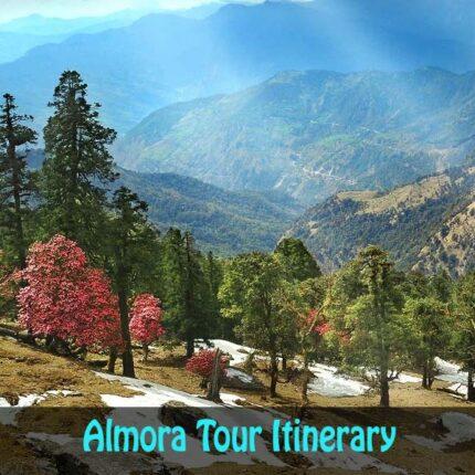 Almora Tour Packages 2024