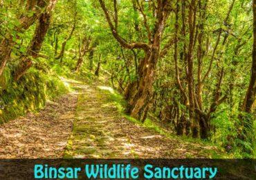 Binsar Wildlife Sanctuary in Almora Uttarakhand