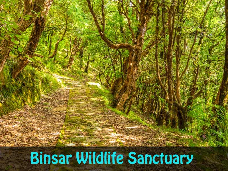 Binsar-Wildlife-Sanctuary