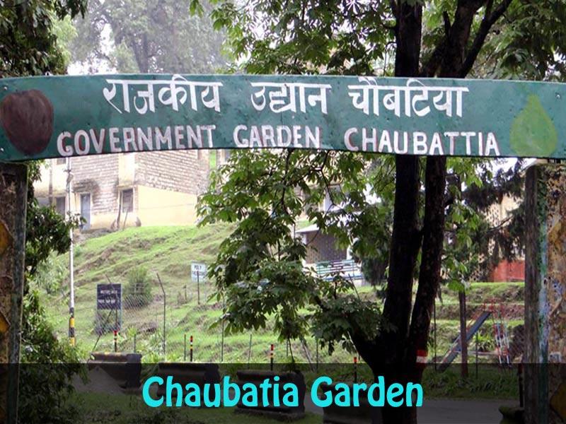 Chaubatia-Garden