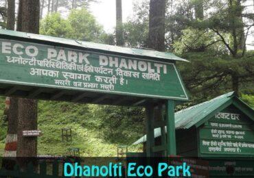 Dhanaulti Eco Park Picnic Spot Mussoorie