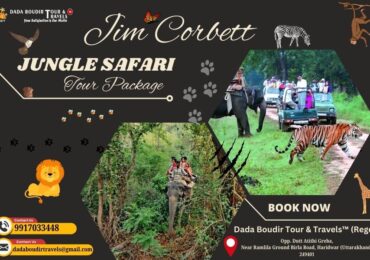 Jim Corbett Jungle Safari Tour Package